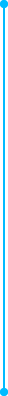 선1